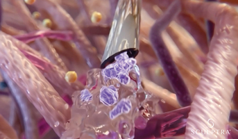What does collagen do in the skin