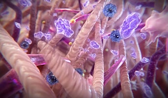 What is collagen